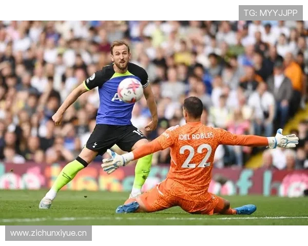 凯恩vs希勒：效率与风格谁更配“英格兰第一中锋”？