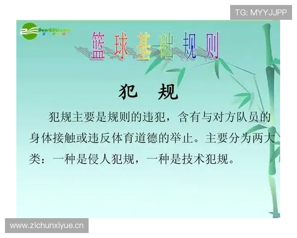 解析篮球技术犯规处罚规则，了解判罚标准。